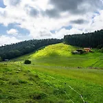 La Llosa *