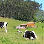 La Llosa *