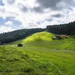 La Llosa * Logrezana