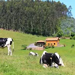 公寓 La Llosa